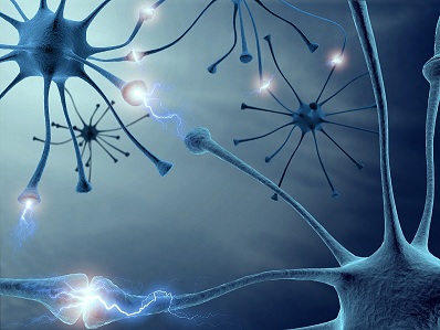 mentalizzazione