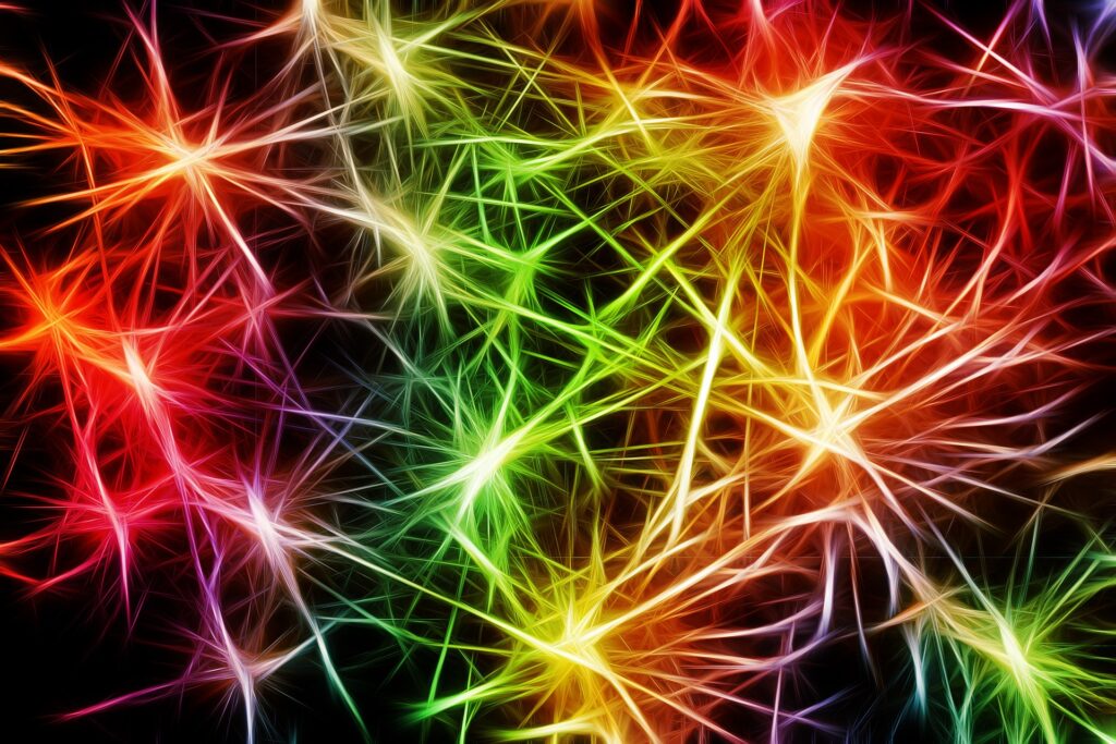 Il pruning neuronale negli adolescenti
