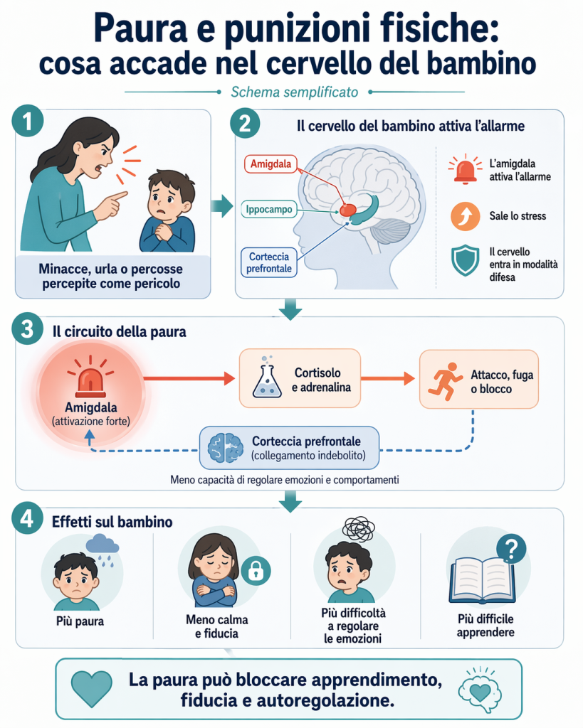 schema cervello paura